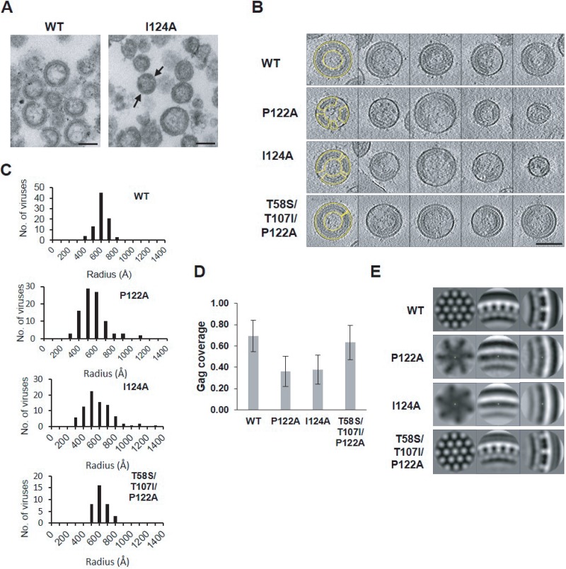 FIG 4