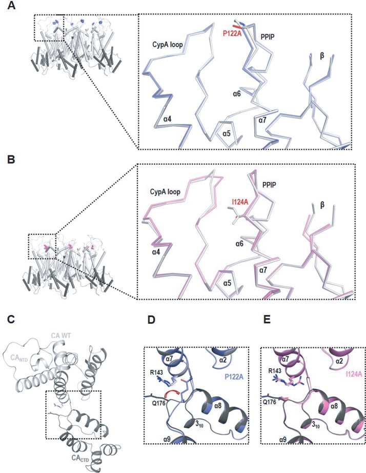 FIG 5