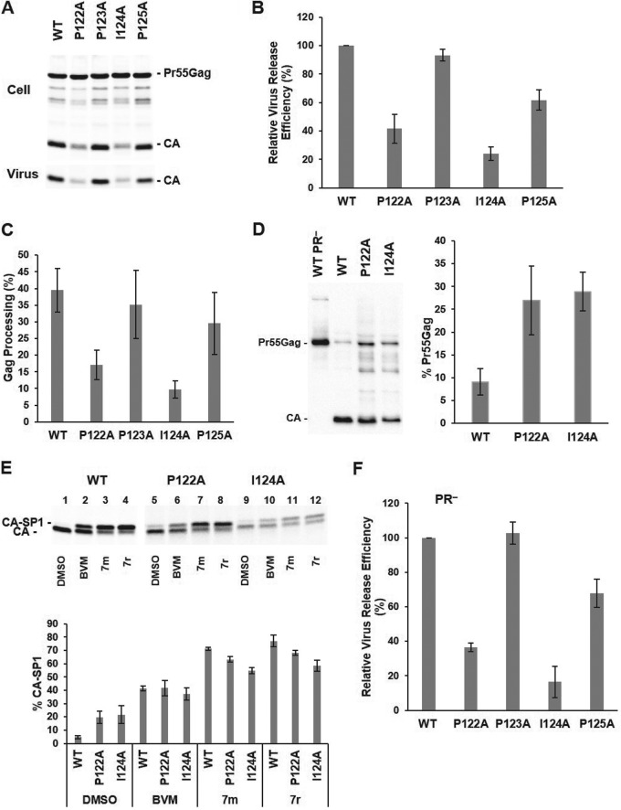 FIG 2