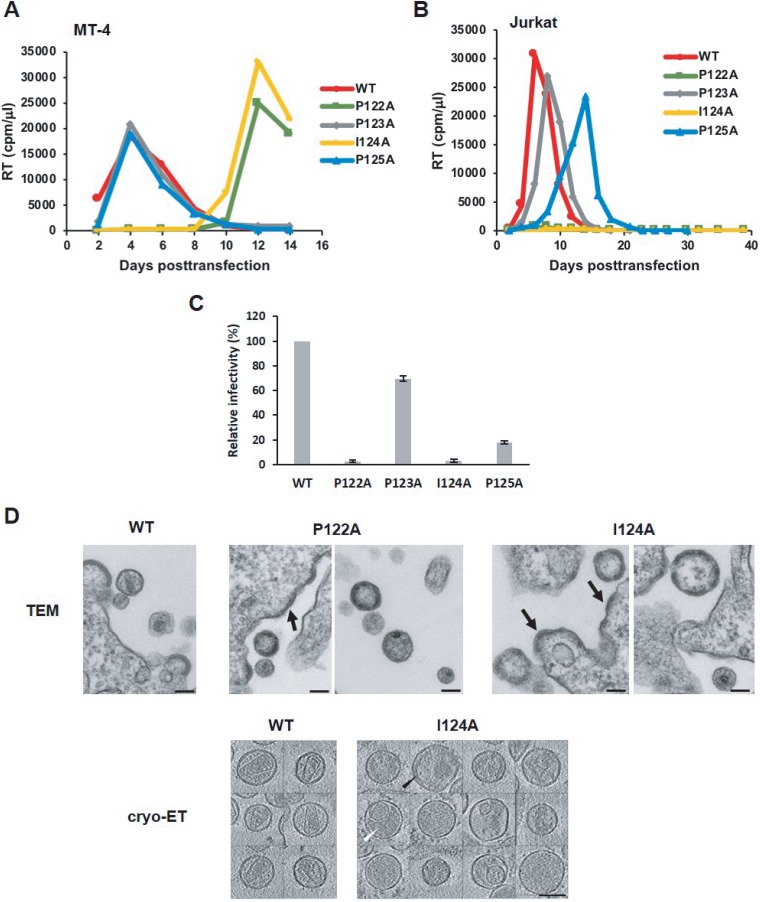 FIG 3