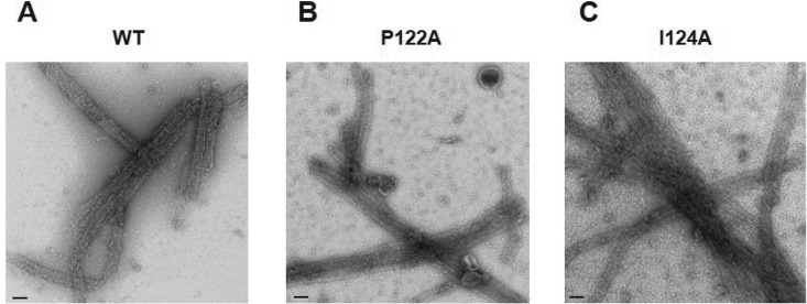 FIG 6