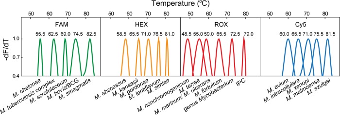 FIG 1