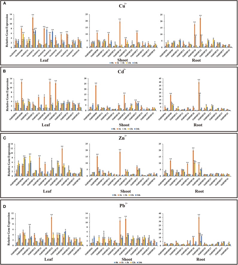 Figure 12