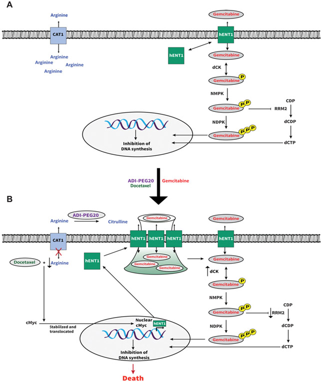 Figure 7.