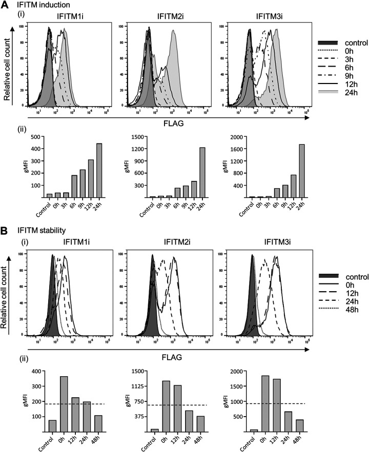 FIG 4