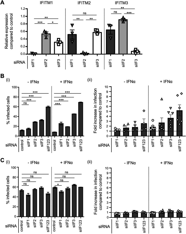 FIG 6