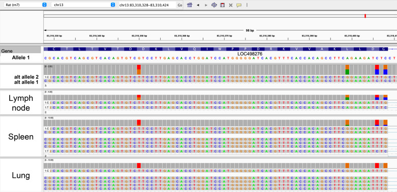 Figure 4.