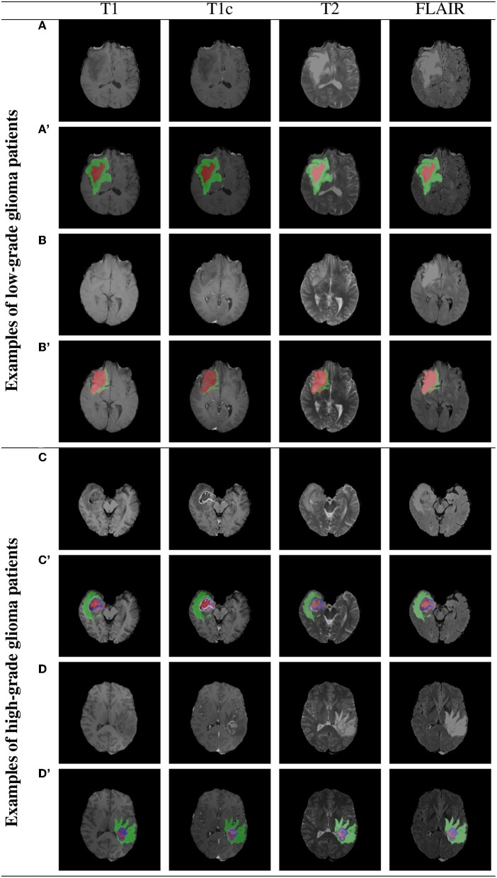 Figure 7