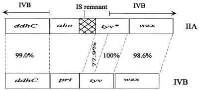 FIG. 4.