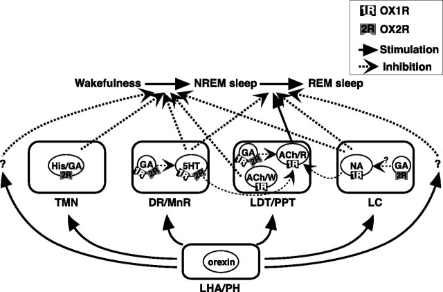 Figure 7.