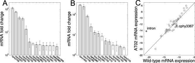 Fig. 6