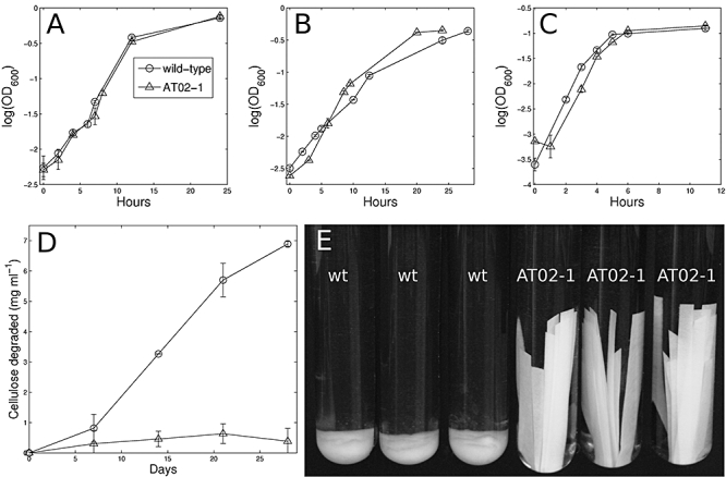 Fig. 4