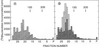 graphic file with name pnas00067-0202-c.jpg