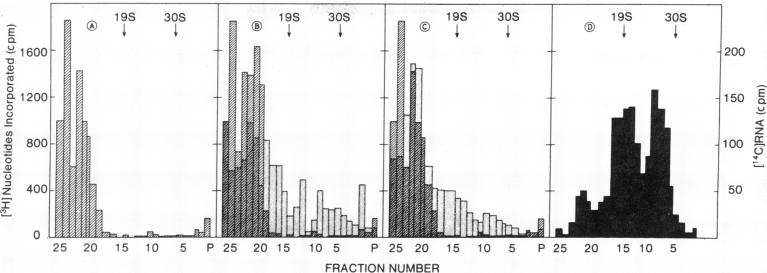 graphic file with name pnas00067-0201-a.jpg