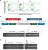 FIG 3