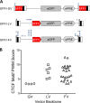 FIG 6