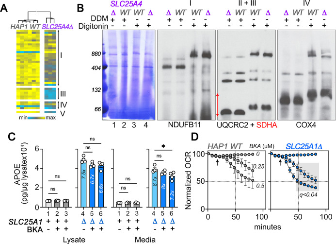 Figure 3—figure supplement 1.