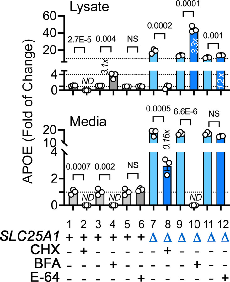 Figure 2—figure supplement 1.