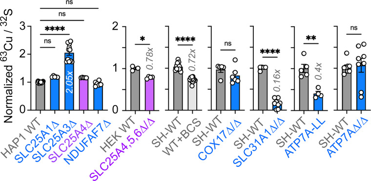 Figure 5—figure supplement 1.