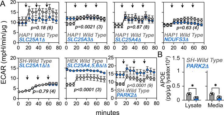 Figure 5—figure supplement 3.