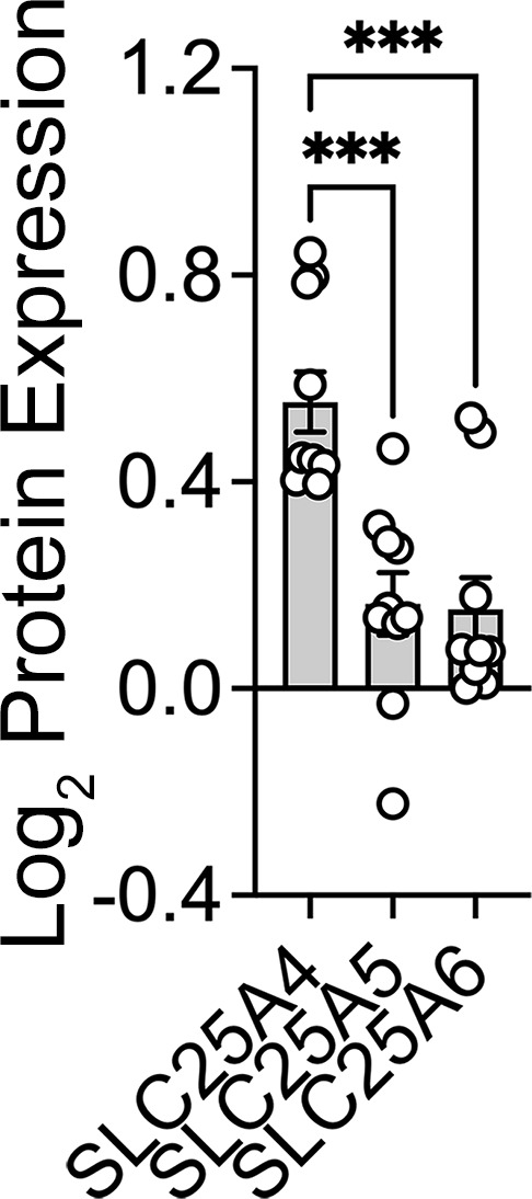 Figure 4—figure supplement 1.