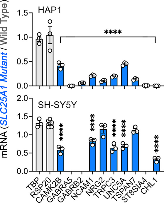 Figure 7—figure supplement 1.