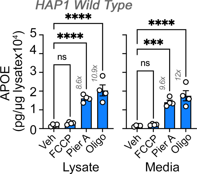 Figure 3—figure supplement 2.