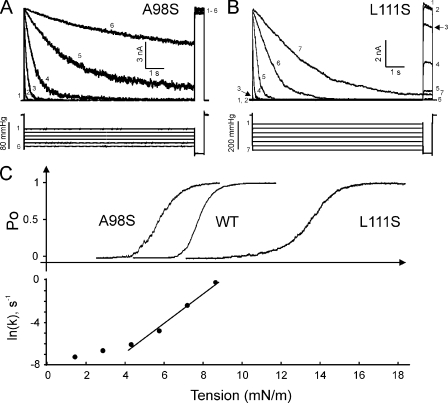 Figure 4.