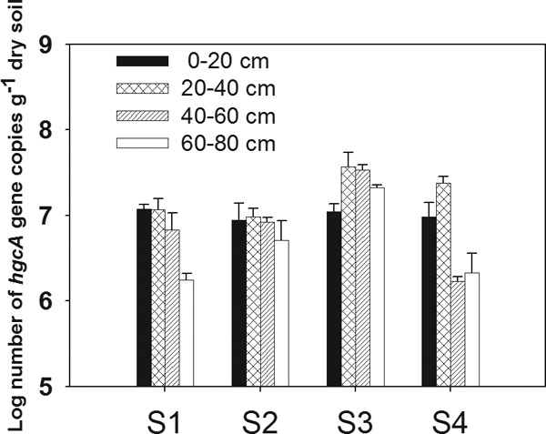 FIG 1