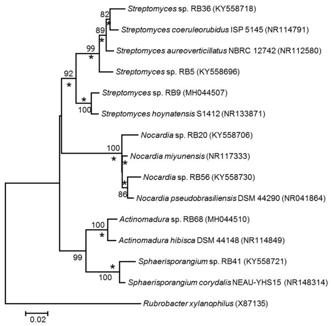 Figure 4