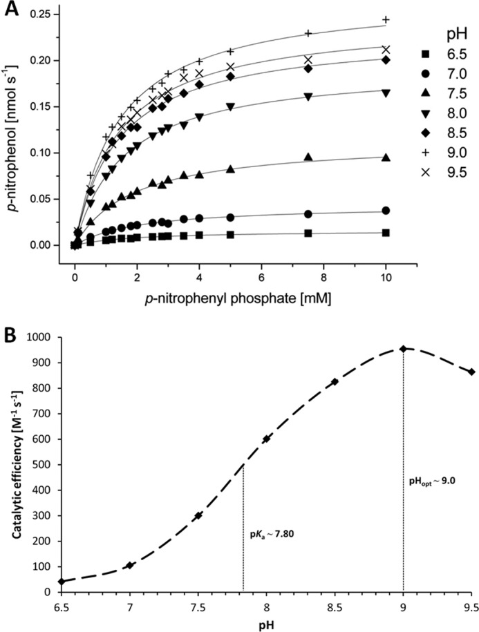 FIGURE 7.