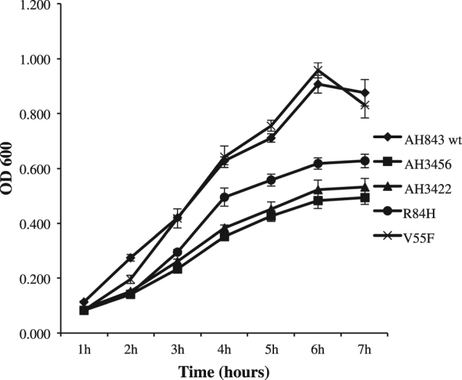 Figure 5