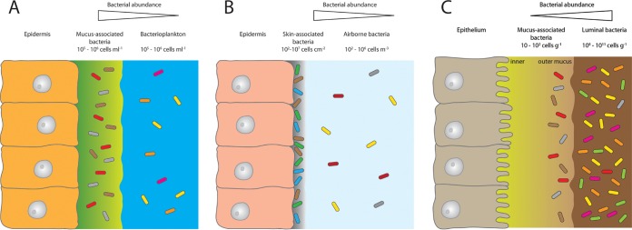 FIG 1