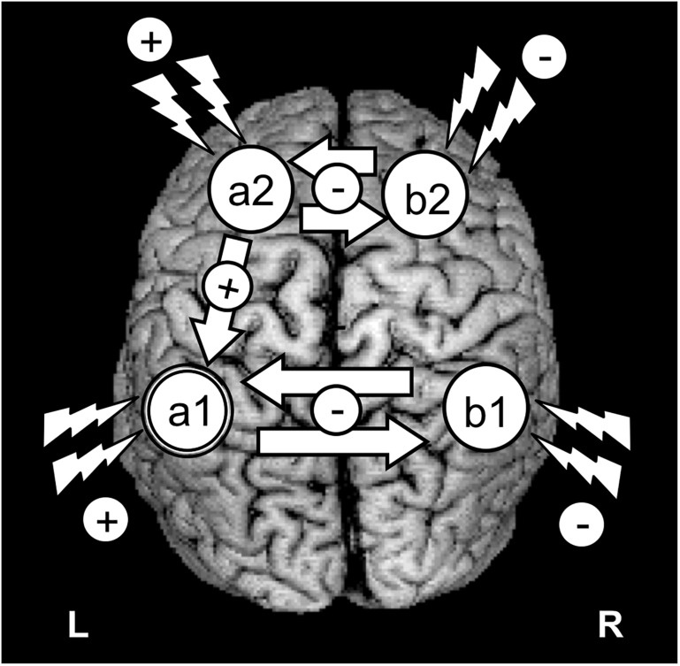 FIGURE 2