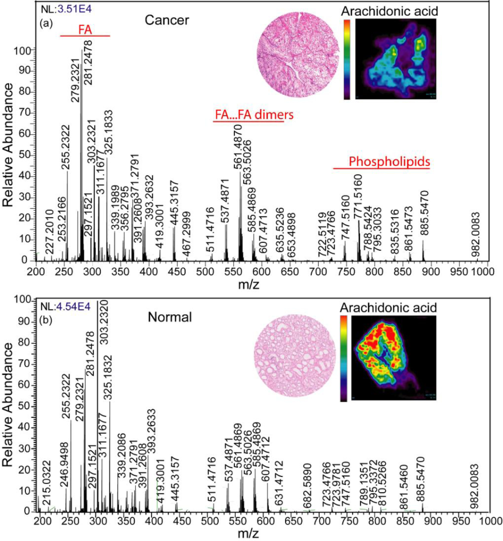 Figure 2: