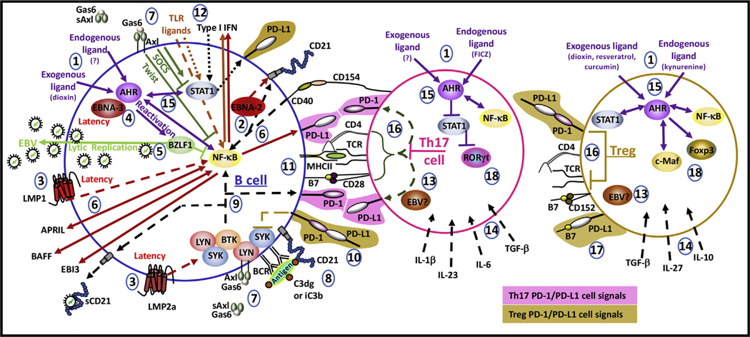 Fig. 3.