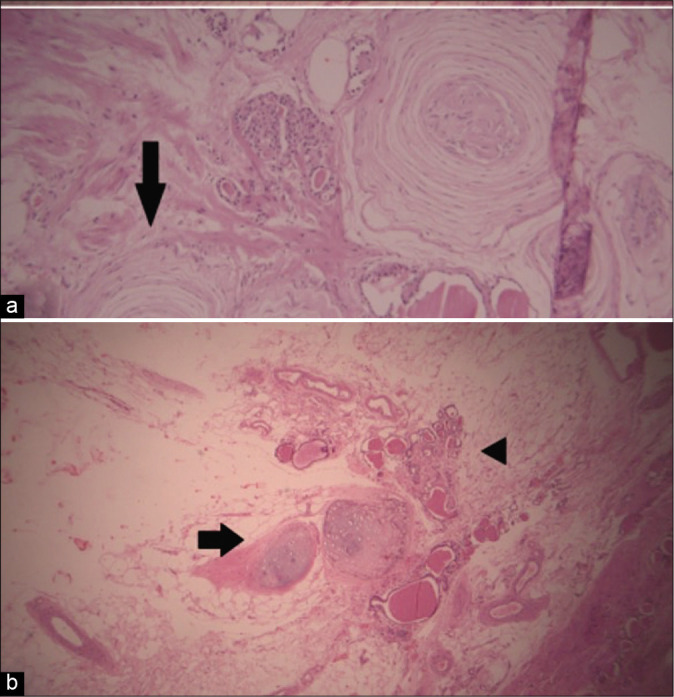 Figure 3: