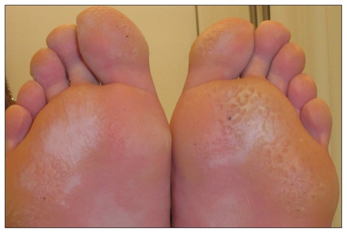 Figure 1: