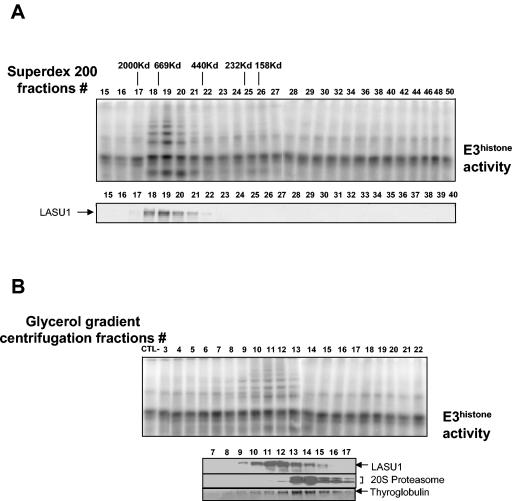 FIG. 7.