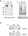 FIG. 6.