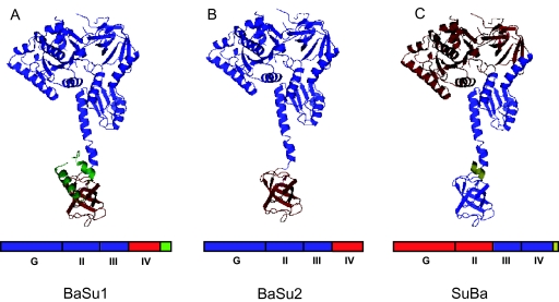 Fig. 2