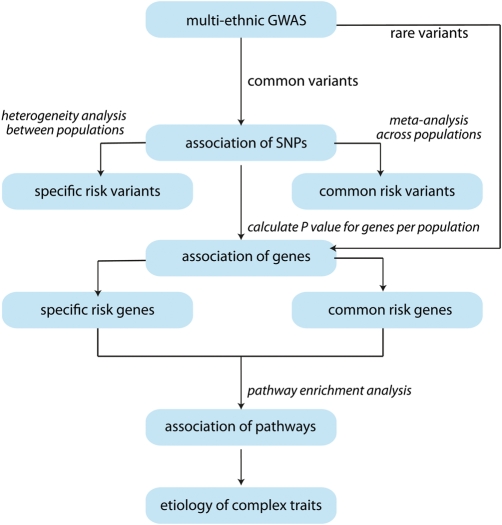 Figure 4.