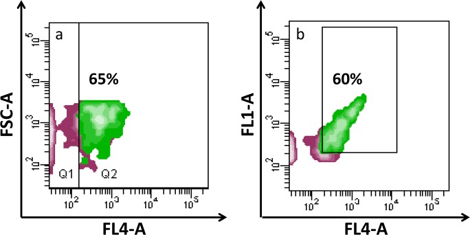 Fig 3