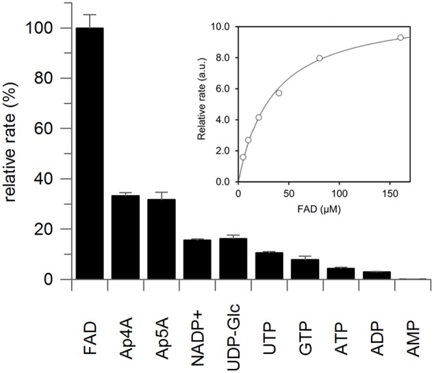 FIGURE 3