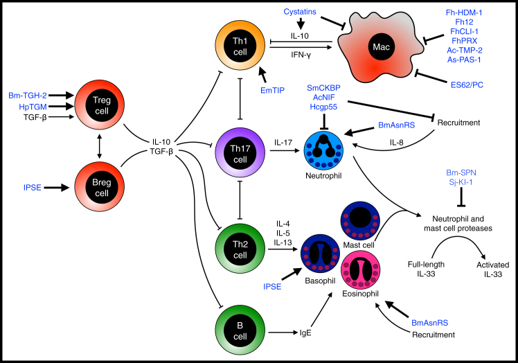 Figure 3