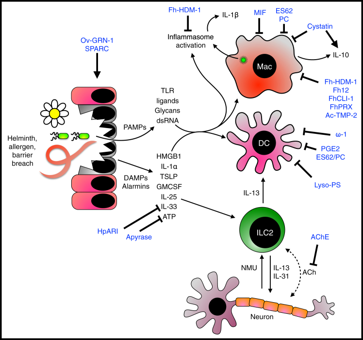 Figure 2