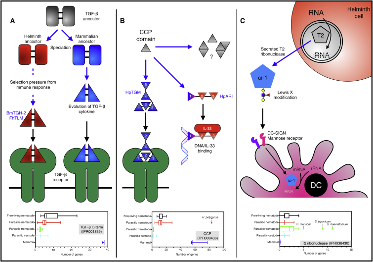 Figure 4