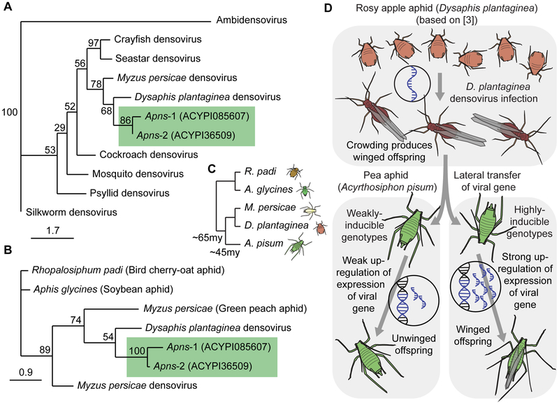 Figure 3: