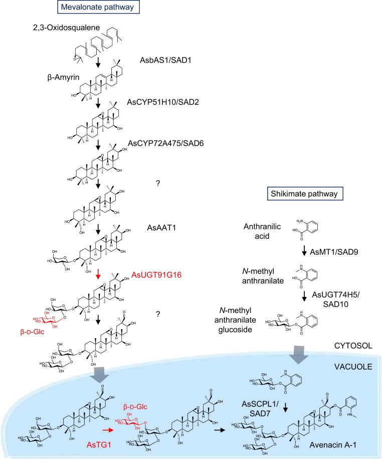 Fig. 4.