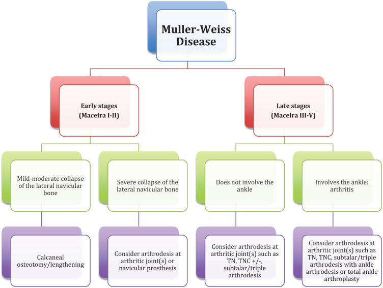 A Novel Update on the Management of Müller-Weiss Disease: Presentation ...